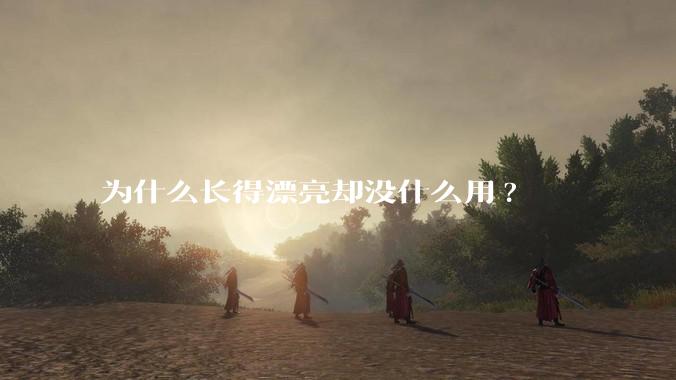 为什么长得漂亮却没什么用?