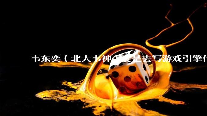 韦东奕（北大韦神）要是去写游戏引擎代码，能不能把虚幻引擎按在地上摩擦？数学好真能‘降维打击吗？