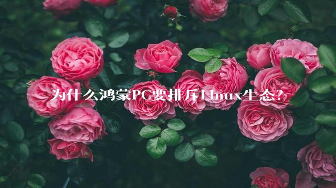 为什么鸿蒙PC要排斥Linux生态？