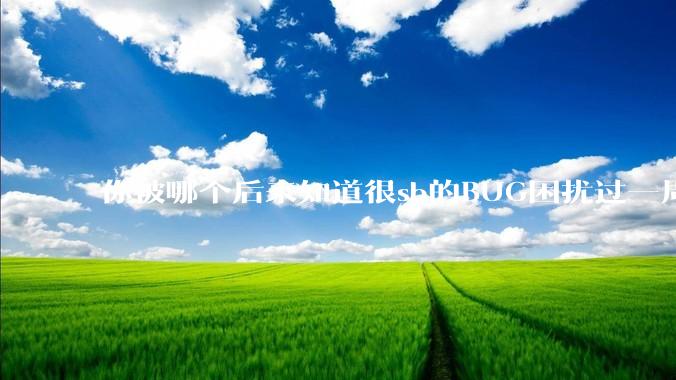 你被哪个后来知道很sb的BUG困扰过一周以上吗？