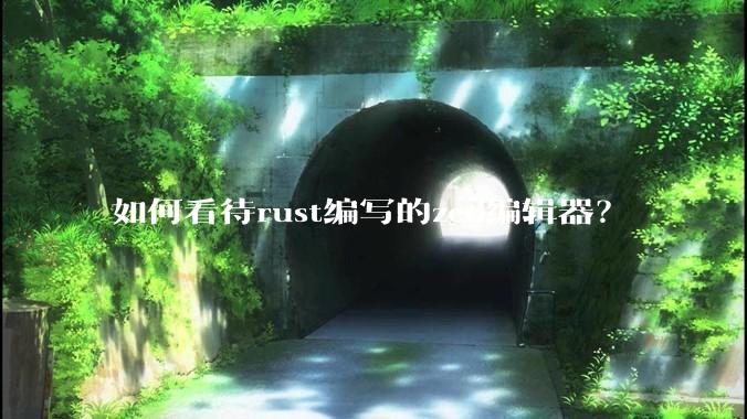 如何看待rust编写的zed编辑器？
