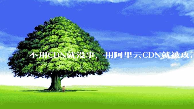 不用CDN就没事，用阿里云CDN就被攻击刷流量，阿里云表示证明不了就要用户买单，如何看到这种行为？